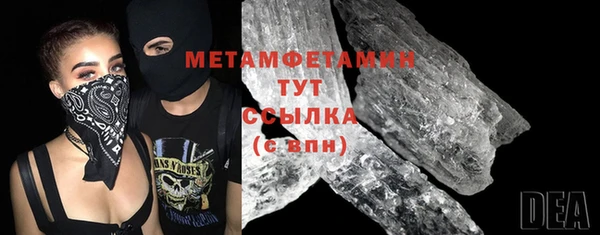 индика Инсар