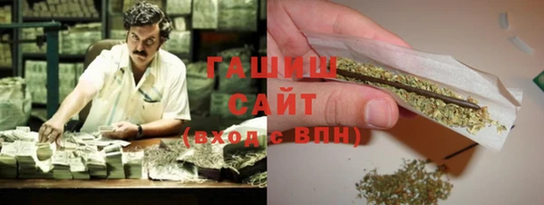 индика Инсар