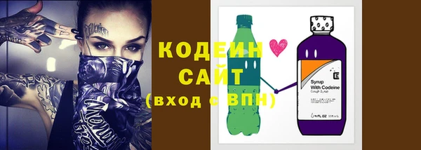 индика Инсар