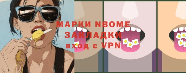 индика Инсар