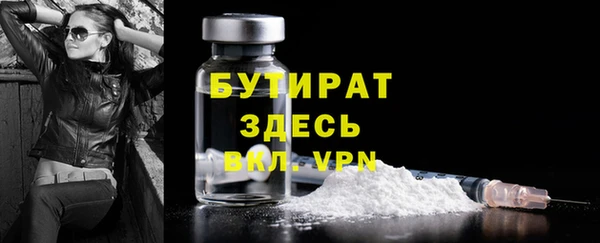индика Инсар