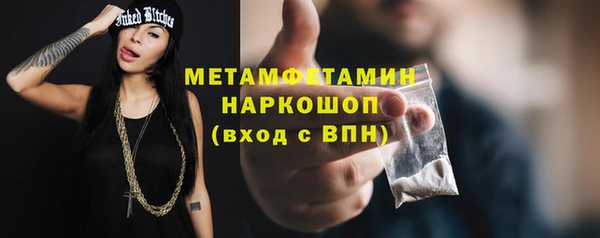 индика Инсар