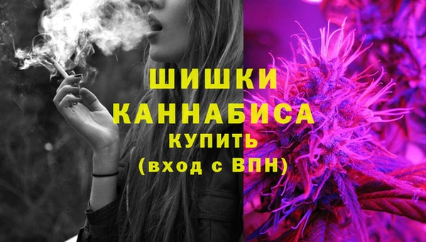 индика Инсар