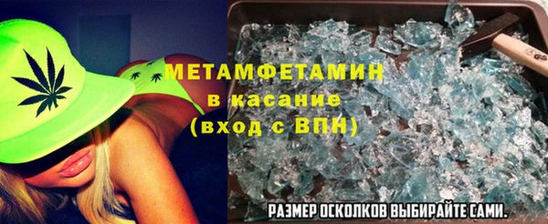 индика Инсар