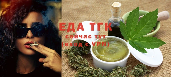 индика Инсар