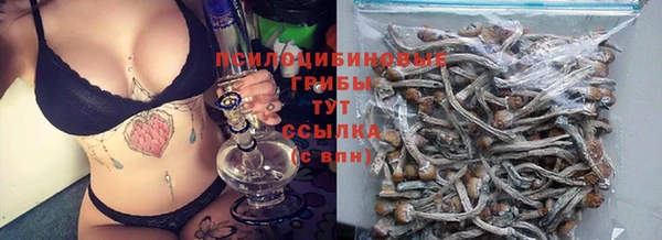 PSILOCYBIN Инта