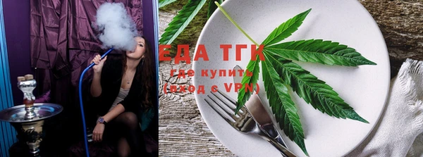 индика Инсар