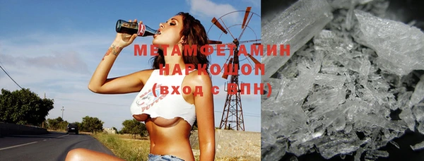 индика Инсар